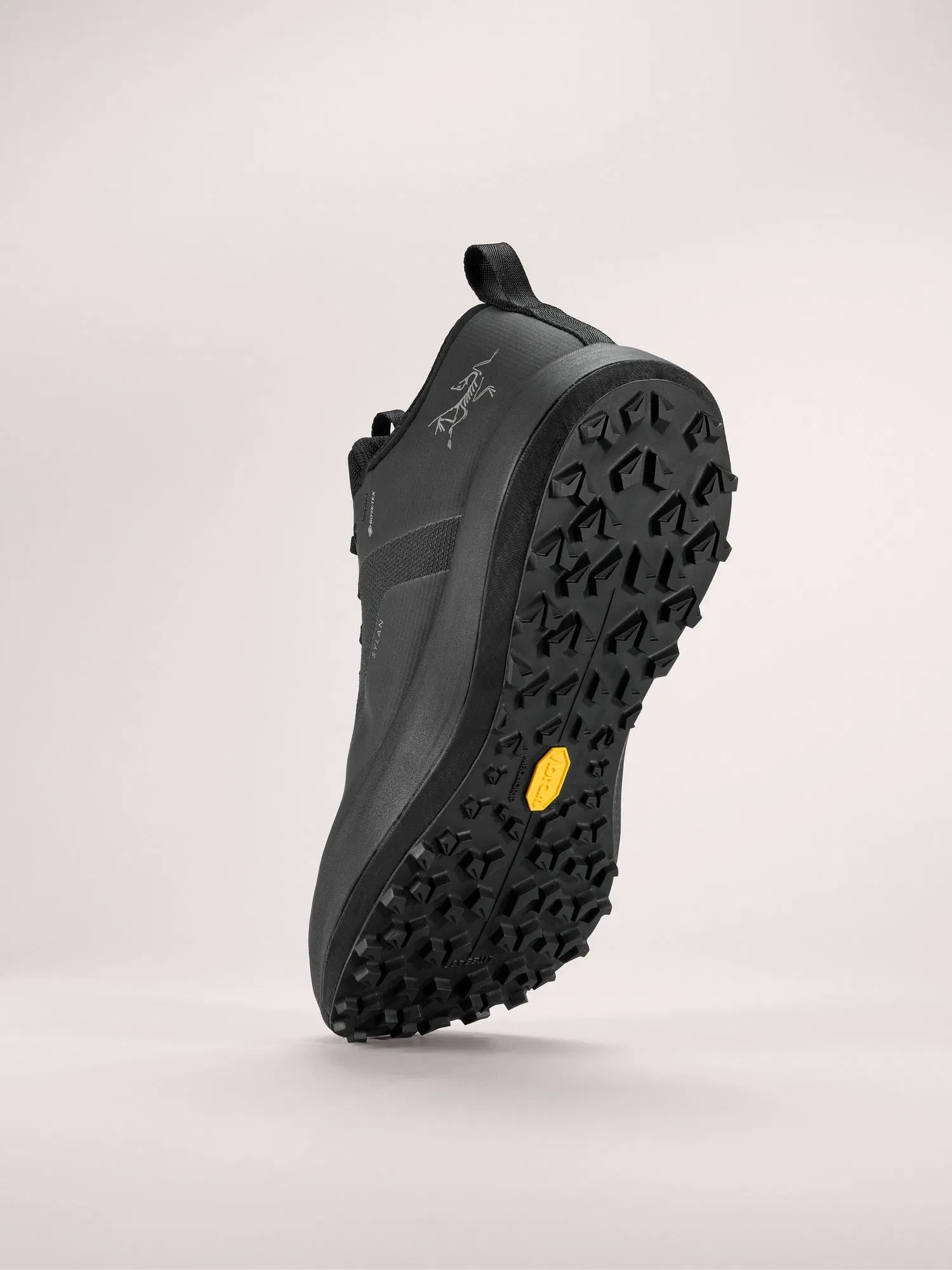Arcteryx Outlet Sylan Gtx Shoe Womens Black