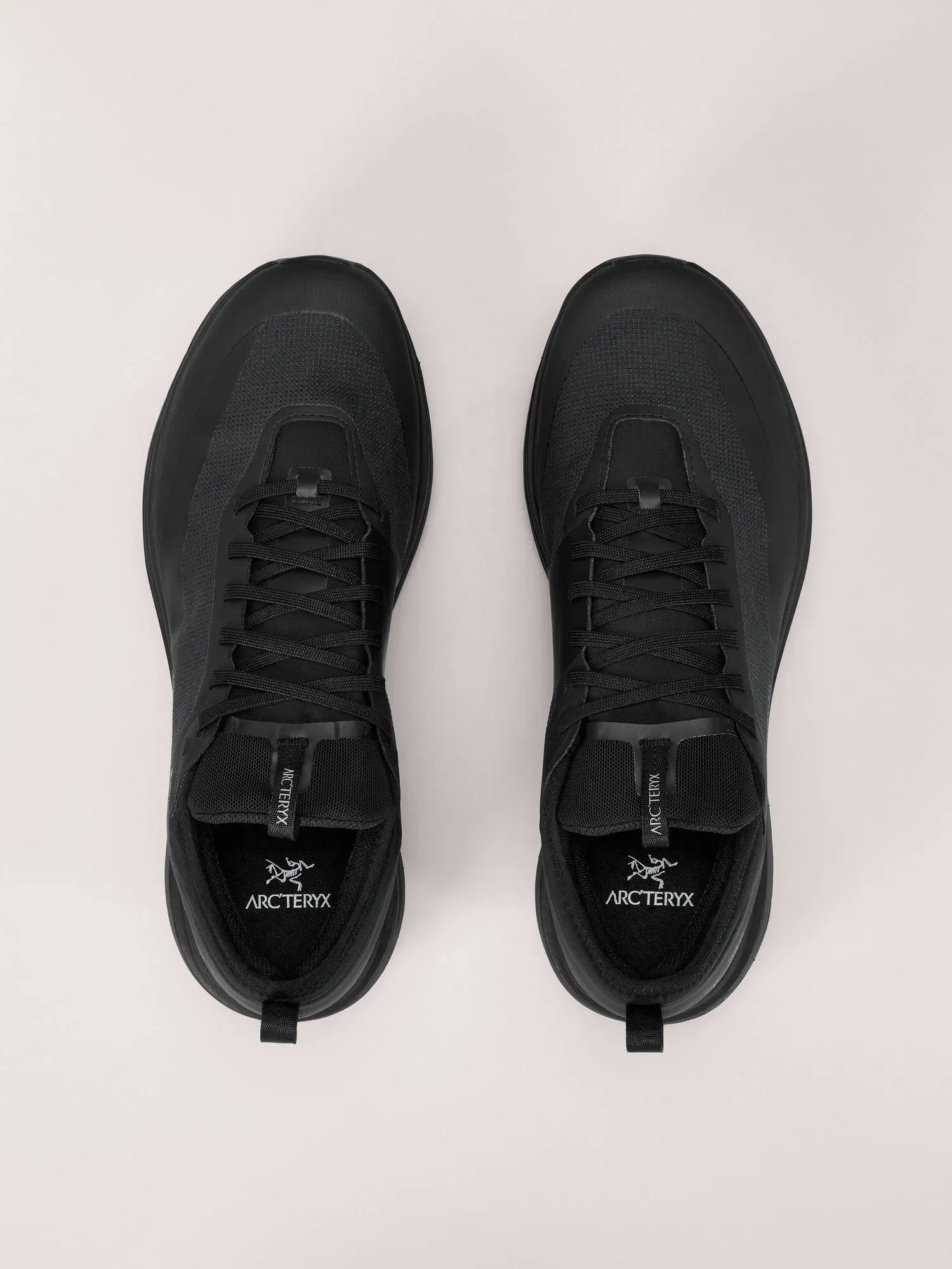Arcteryx Outlet Sylan Gtx Shoe Womens Black