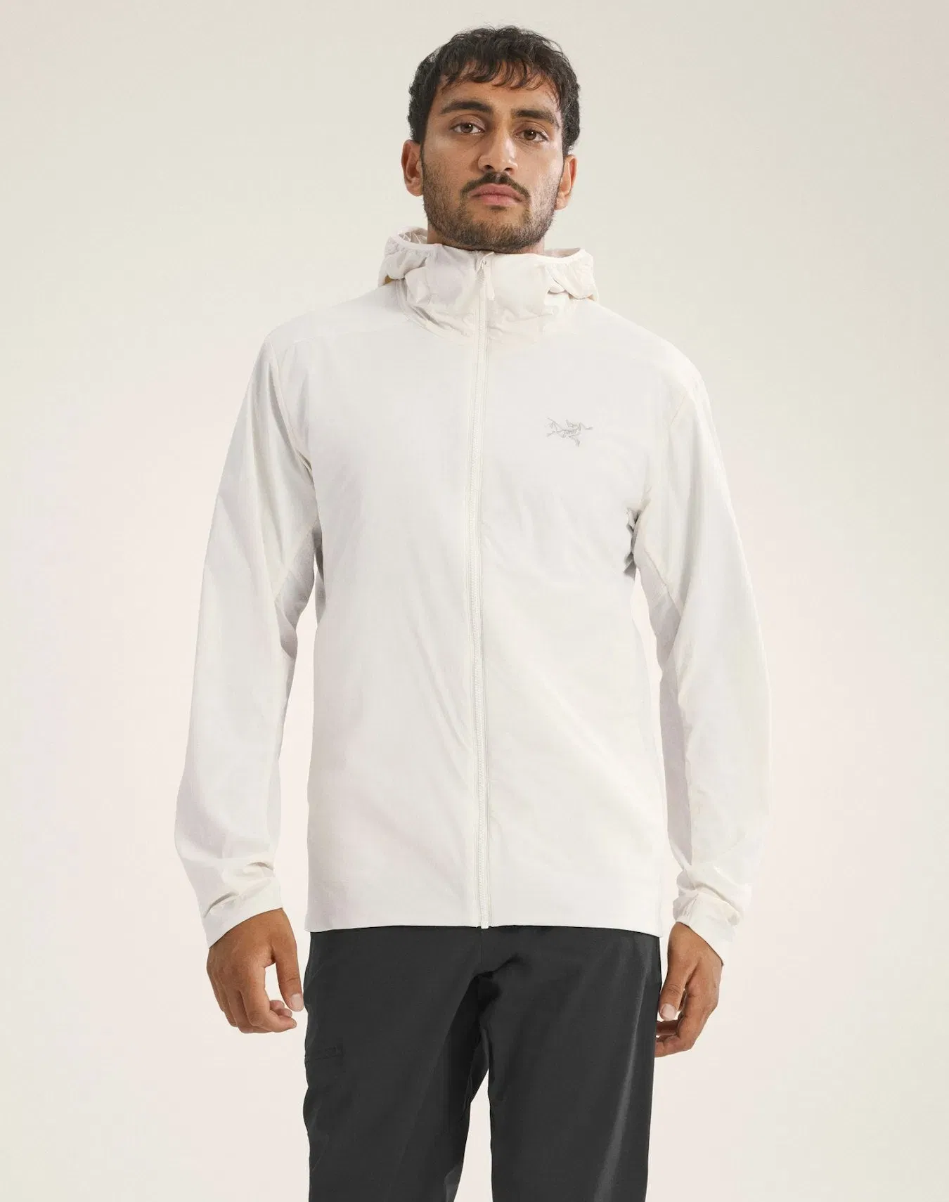 Arc'teryx Atom SL Hoody Men's Arctic Silk