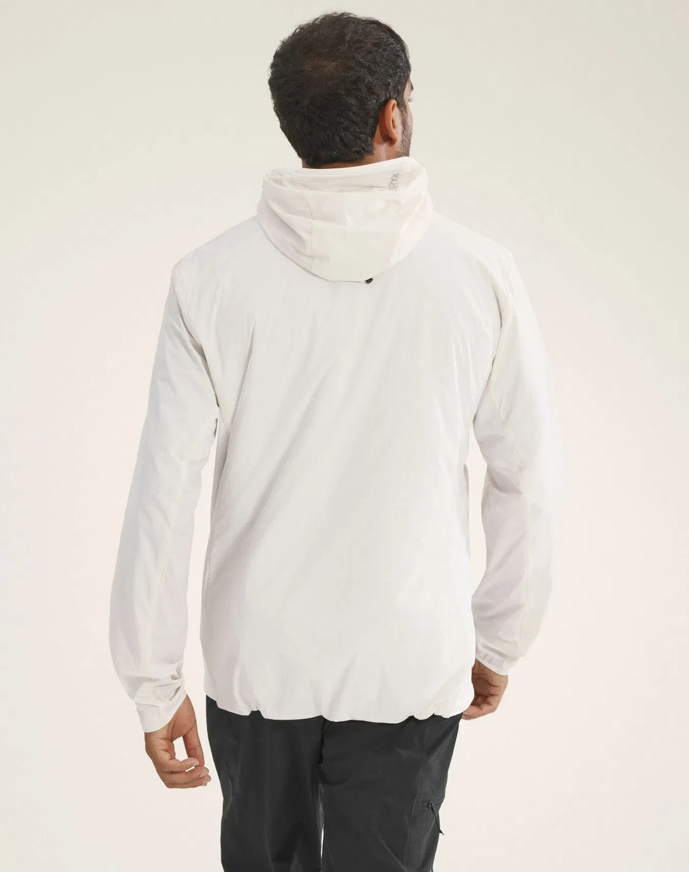 Arc'teryx Atom SL Hoody Men's Arctic Silk