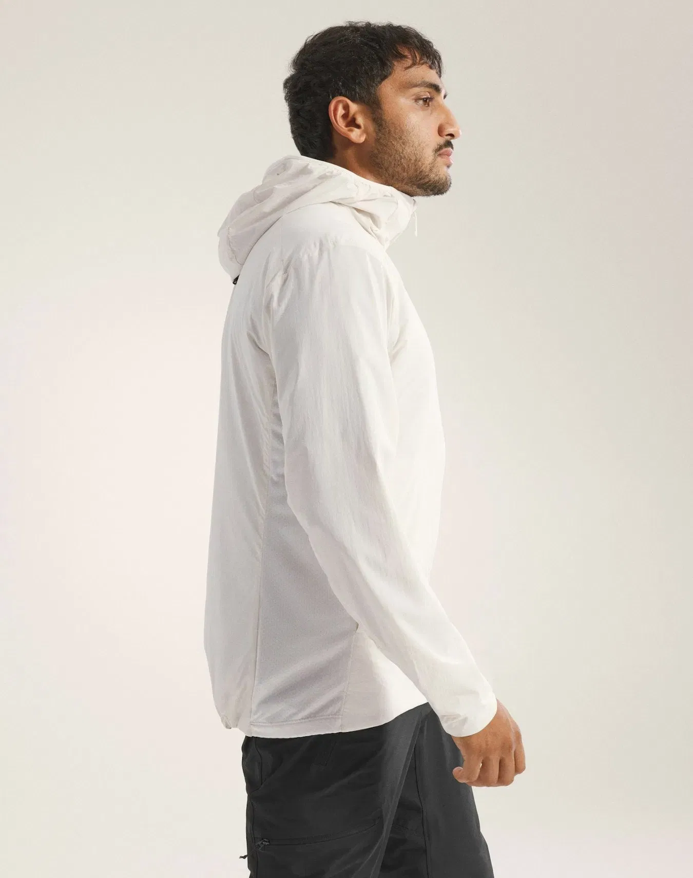 Arc'teryx Atom SL Hoody Men's Arctic Silk