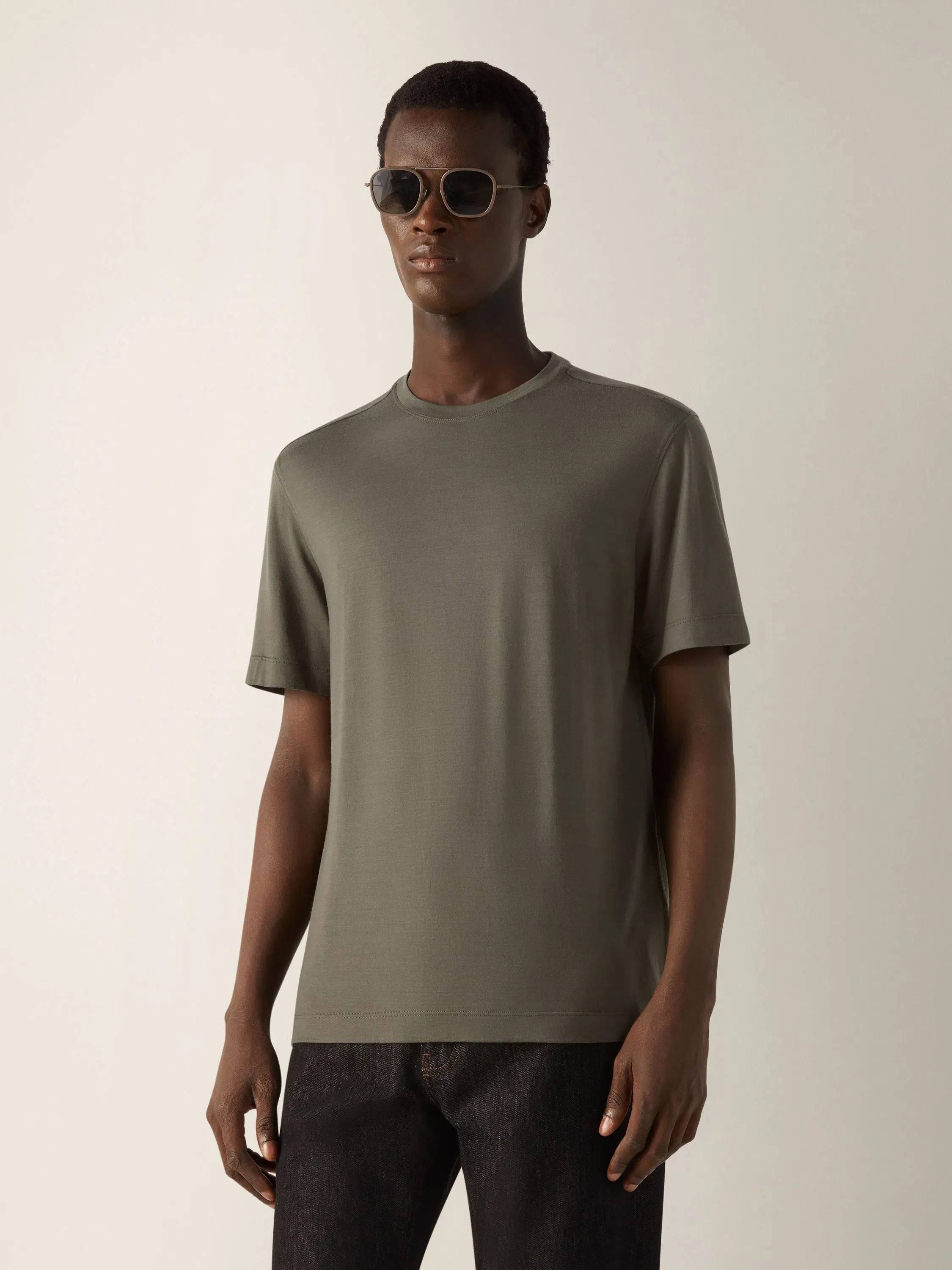 Zegna Dark Taupe Vellus Aureum T-Shirt