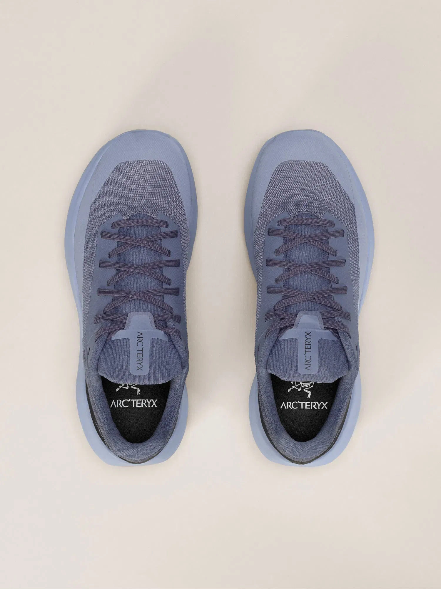 Arcteryx Norvan Ld 4 Shoe Womens Dk Stratus Lt Stratus