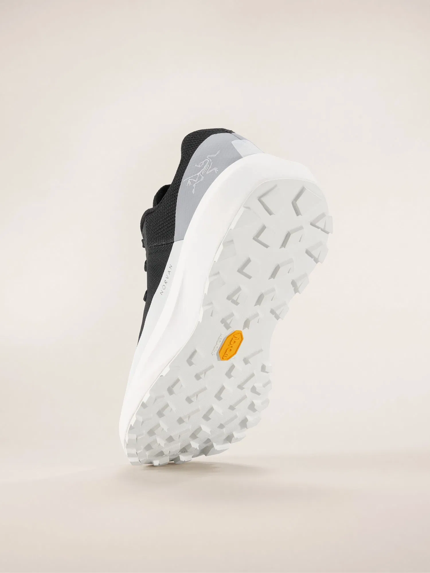 Arcteryx Outlet Norvan Ld 4 Shoe Womens Black Arctic Silk