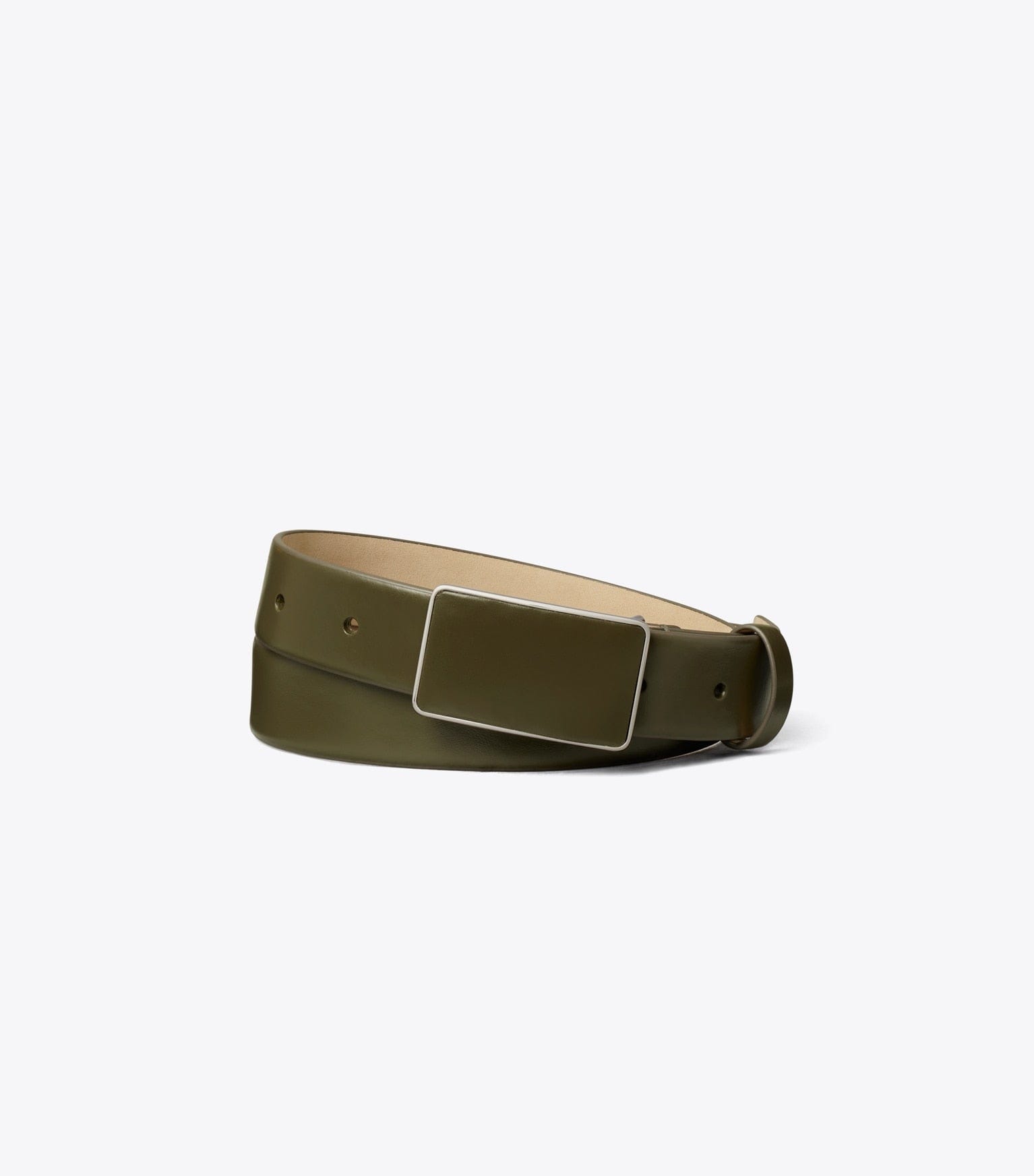 Plate Belt