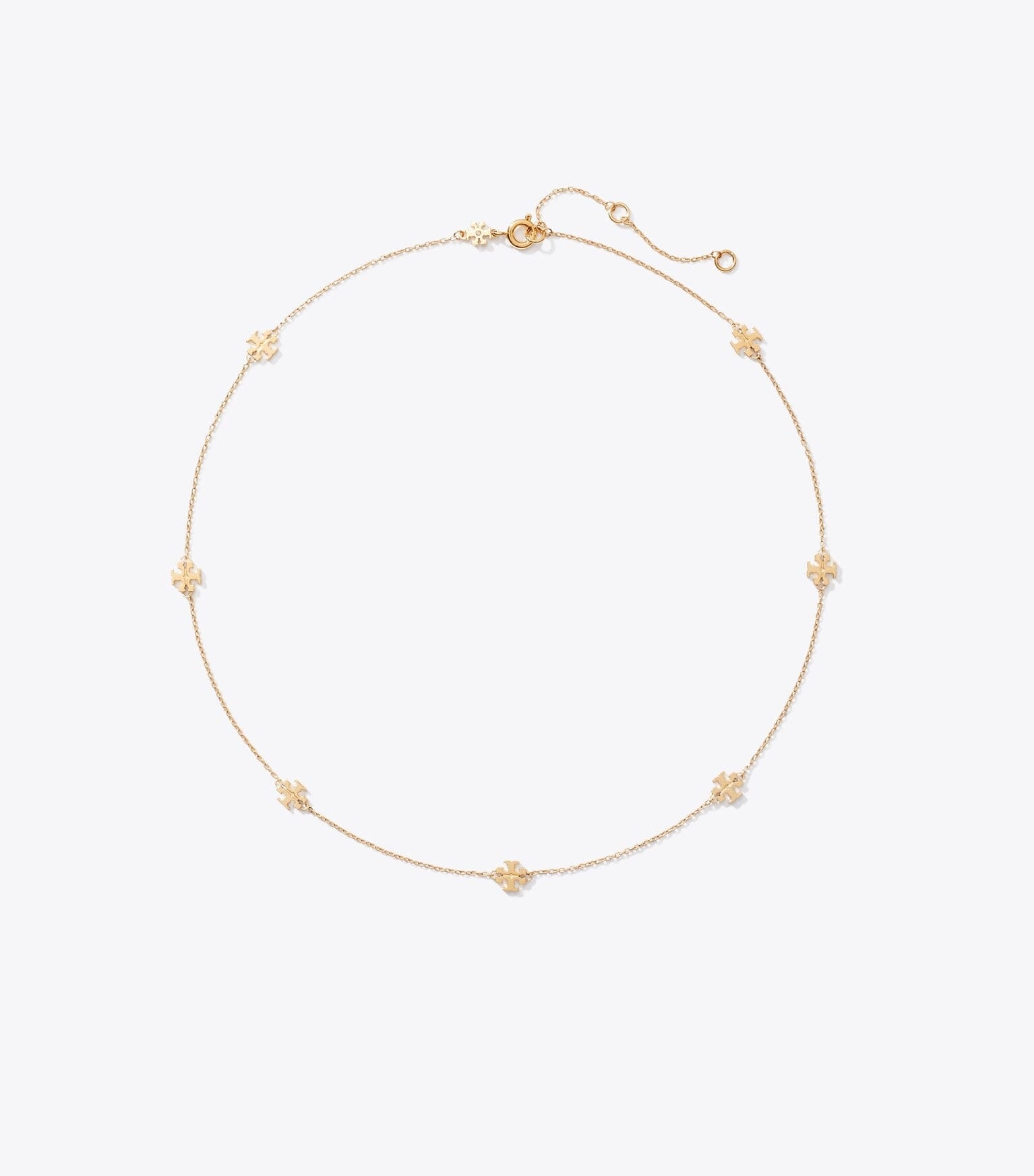 Delicate Icon Necklace