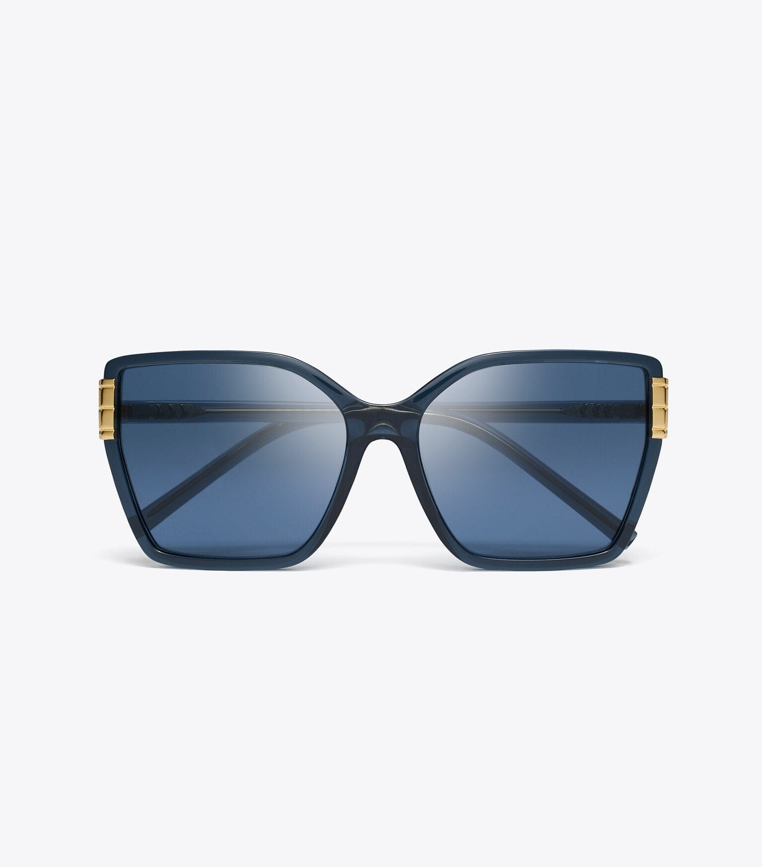 Eleanor Oversized Cat-Eye Sunglasses