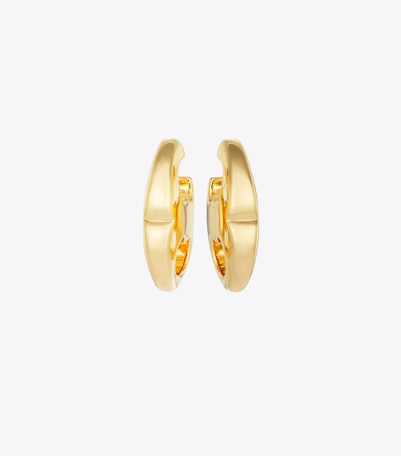 Gemini Link Earrings