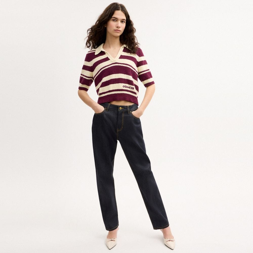 Striped Knit Polo