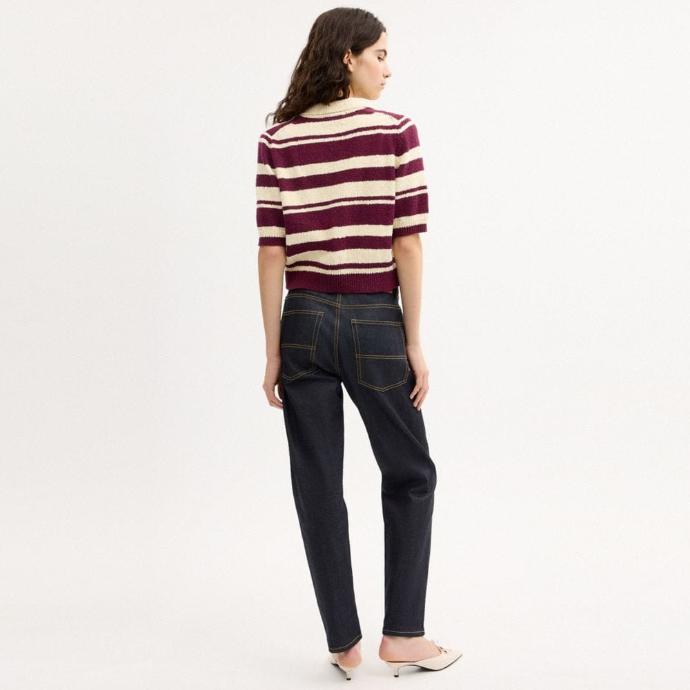 Striped Knit Polo