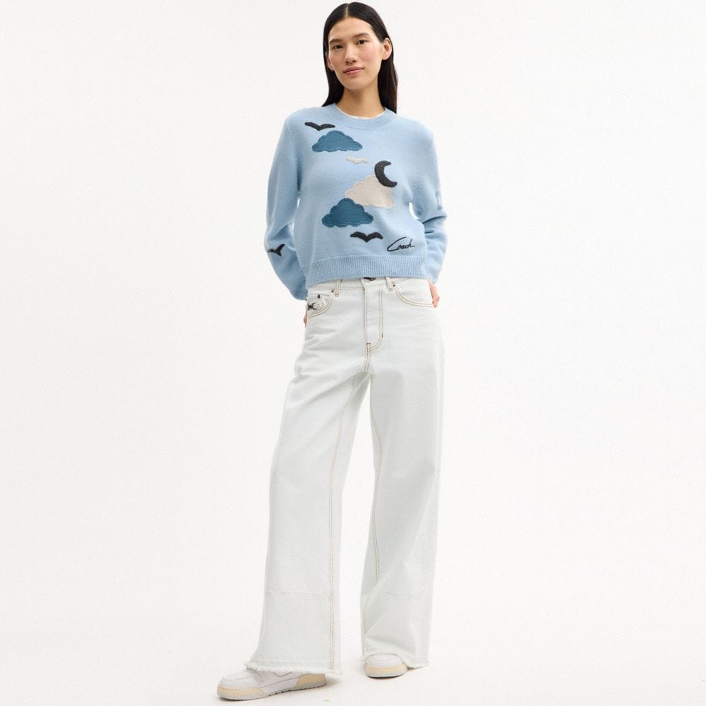 Applique Sweater