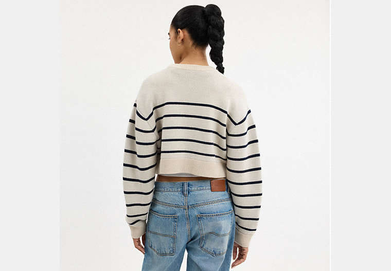 Cursive Signature Striped Cropped Sweater