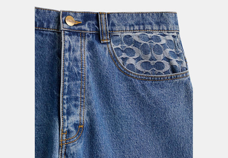 Restored Medium Wash Skater Jeans