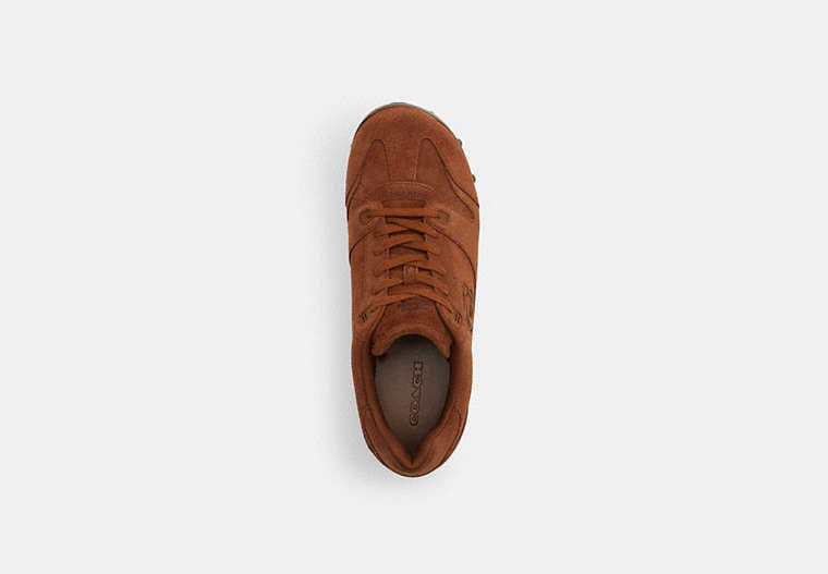 Coach | Brain Dead Soho Wooden Clog