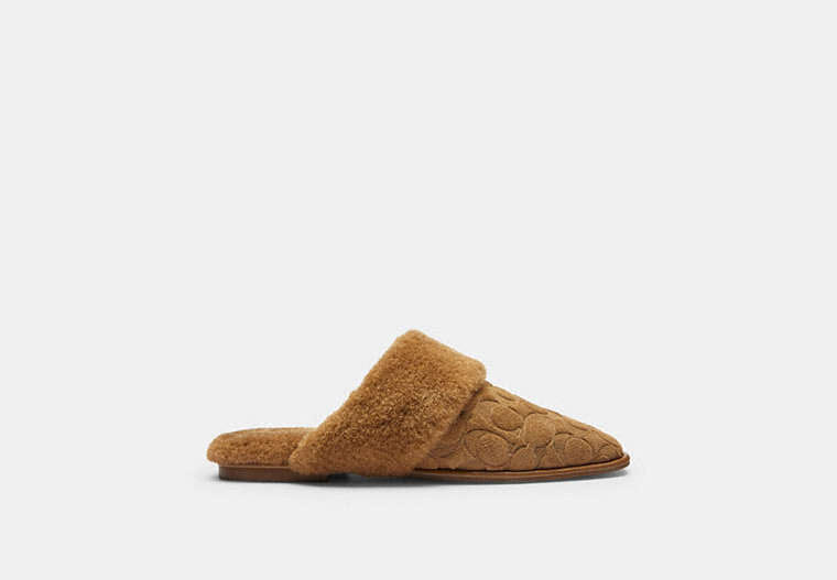 Sherpa Flat Mule In Signature Suede