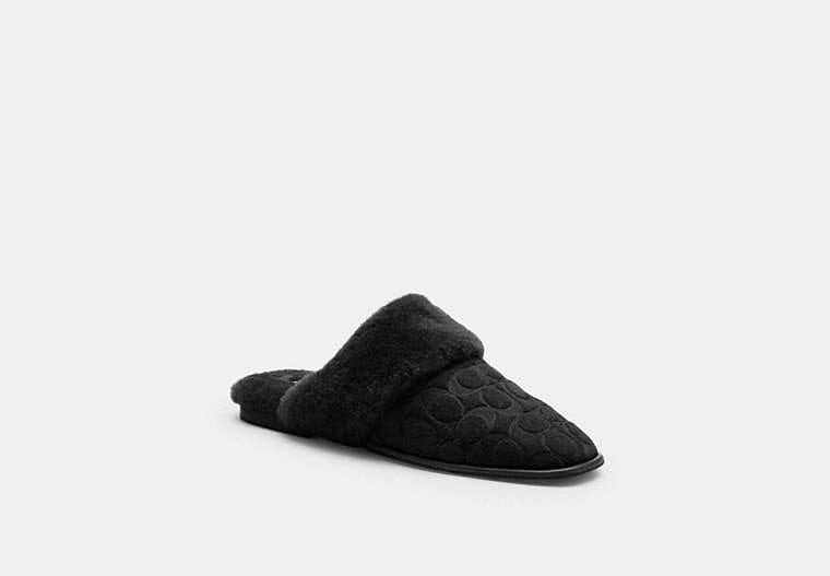 Sherpa Flat Mule In Signature Suede