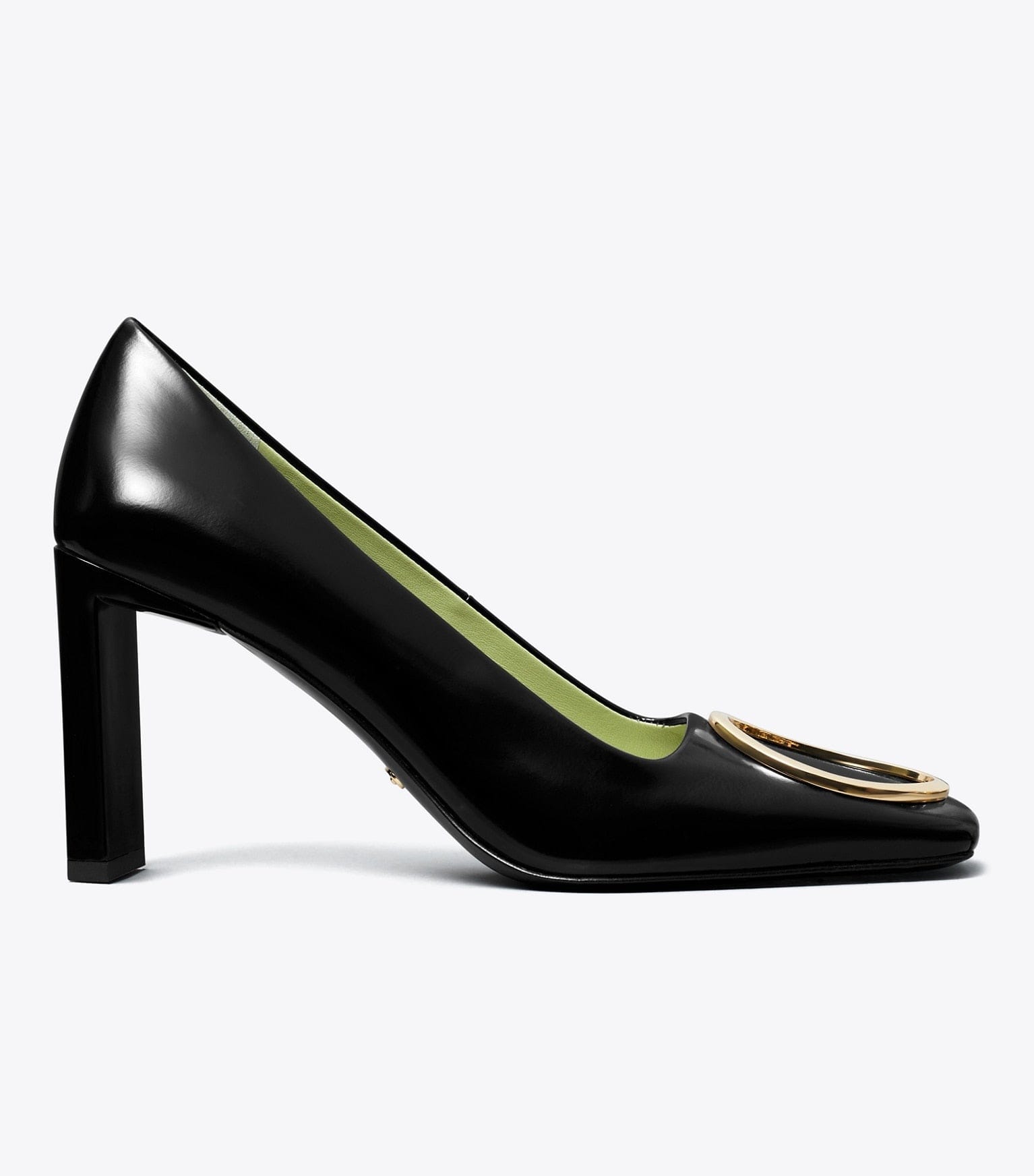Ring Pump