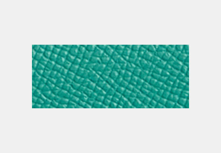 Restored Wyn Soft Wallet