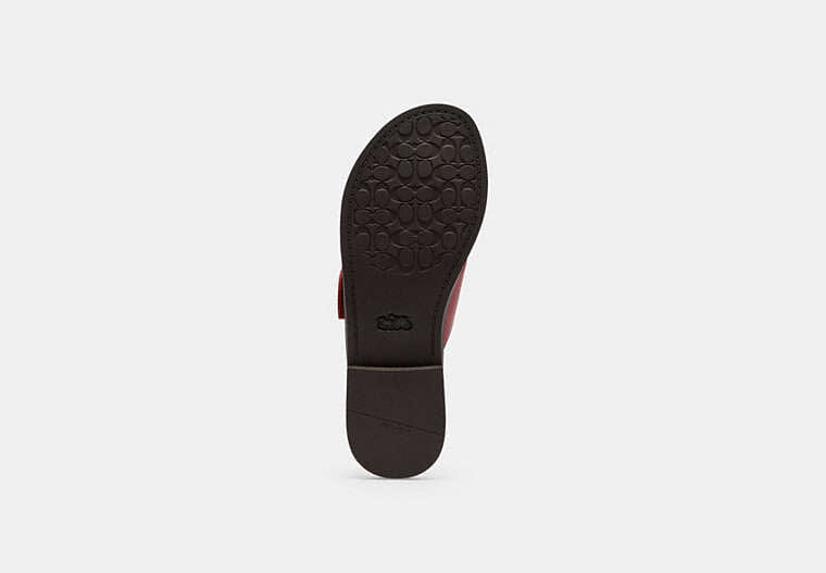 Crisscross Buckle Sandal