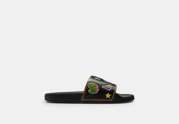 Rexy 10th Birthday Udele Slide With Sticker Print