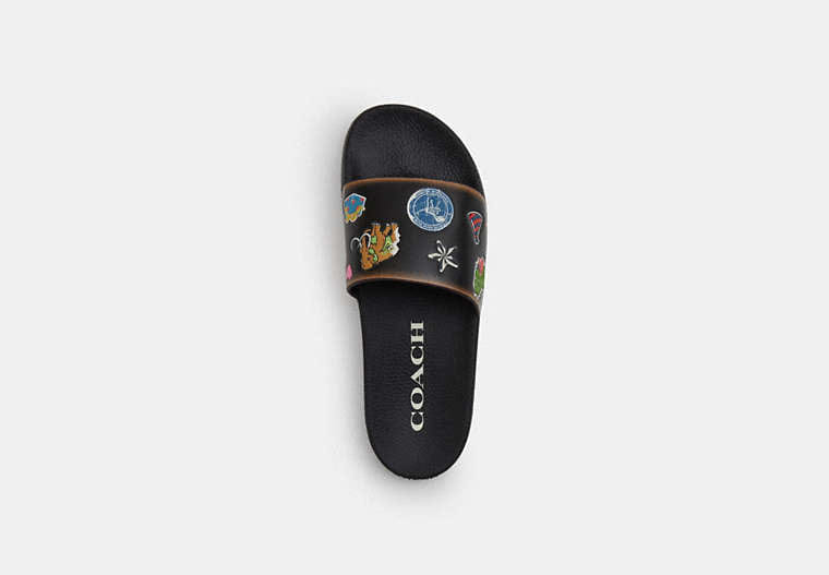 Rexy 10th Birthday Udele Slide With Sticker Print