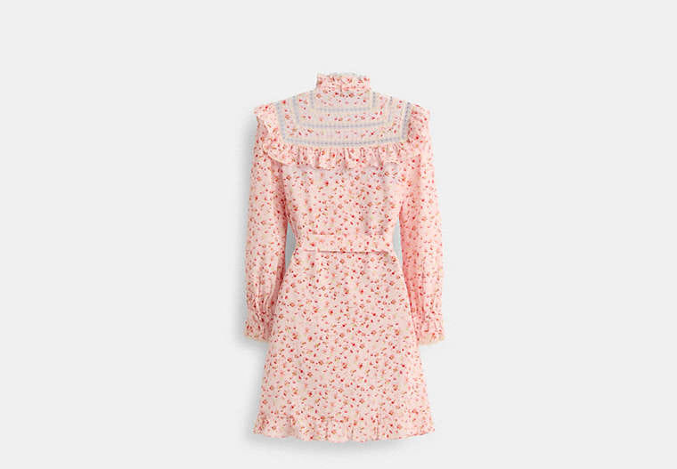 Restored Dress