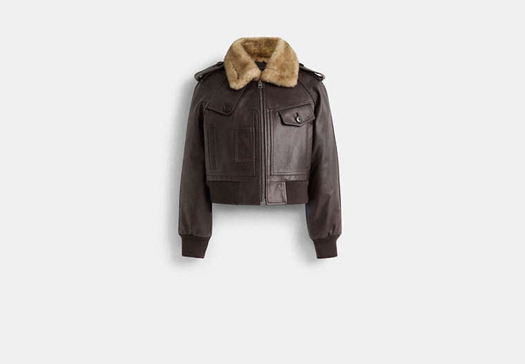 Restored Cropped Leather Jacket