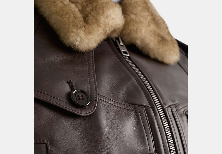 Restored Cropped Leather Jacket