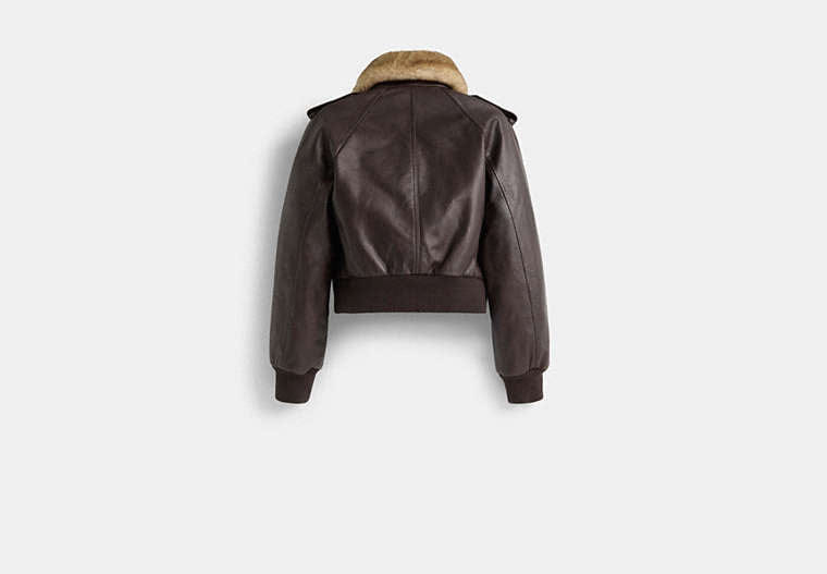 Restored Cropped Leather Jacket