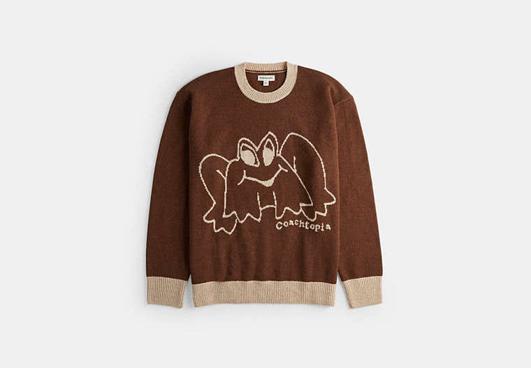 Crewneck Sweater With Intarsia Star Frog Graphic