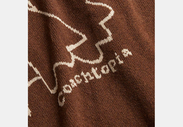 Crewneck Sweater With Intarsia Star Frog Graphic