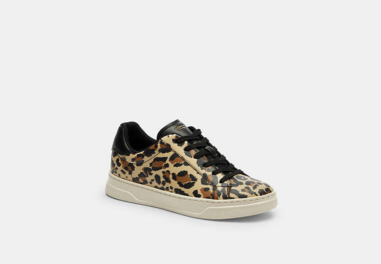 High Line Sneaker With Leopard Print