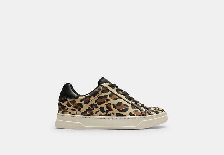 High Line Sneaker With Leopard Print