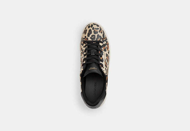 High Line Sneaker With Leopard Print