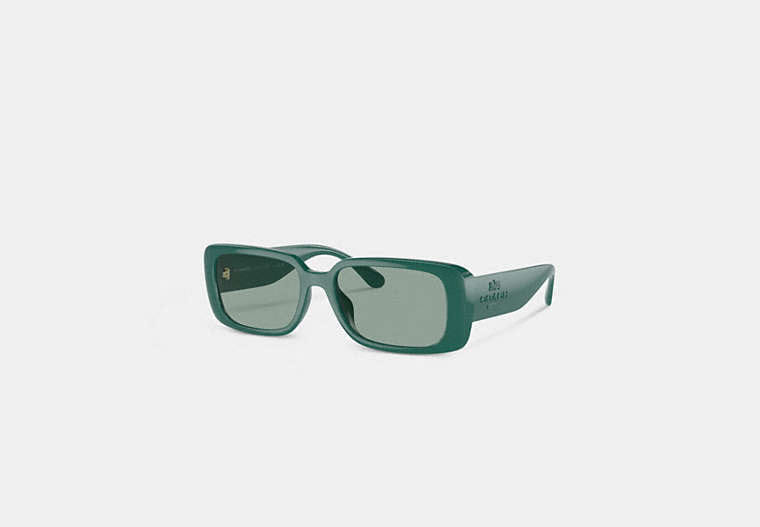 Narrow Rectangle Sunglasses