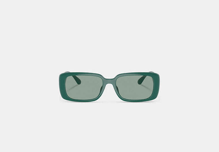Narrow Rectangle Sunglasses