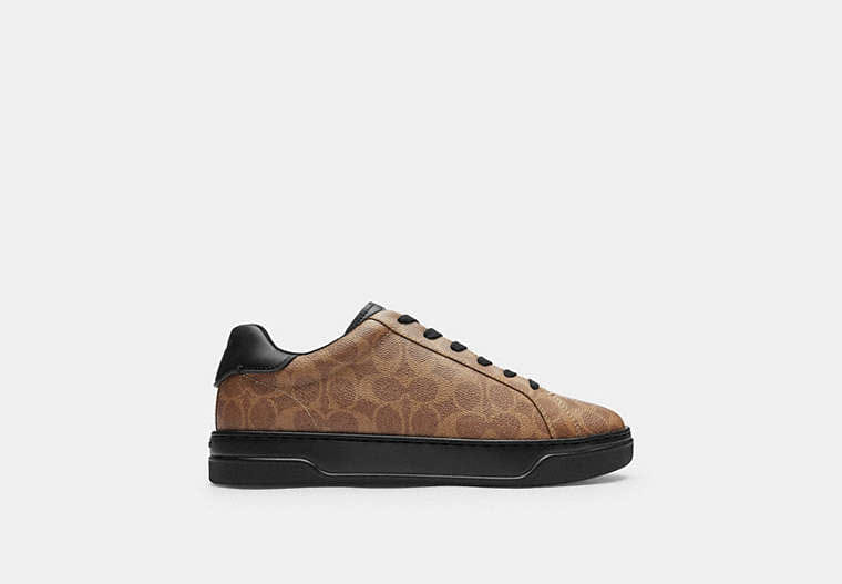 High Line Sneaker In Signature Canvas