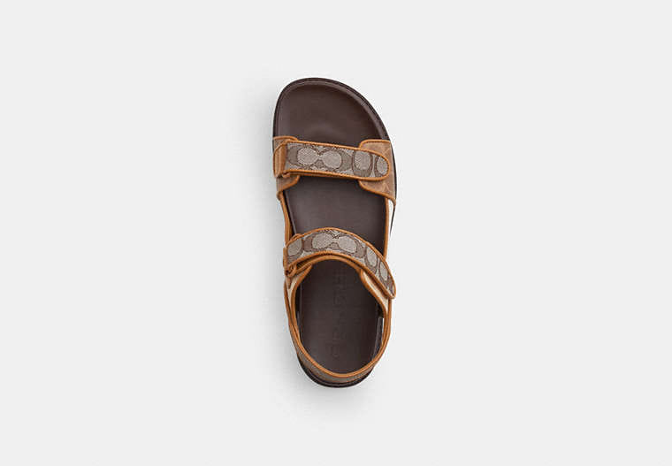 Double Strap Sandal In Signature