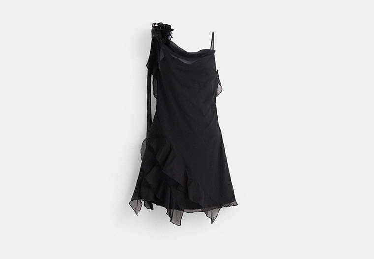 Restored Mini Tulle Dress