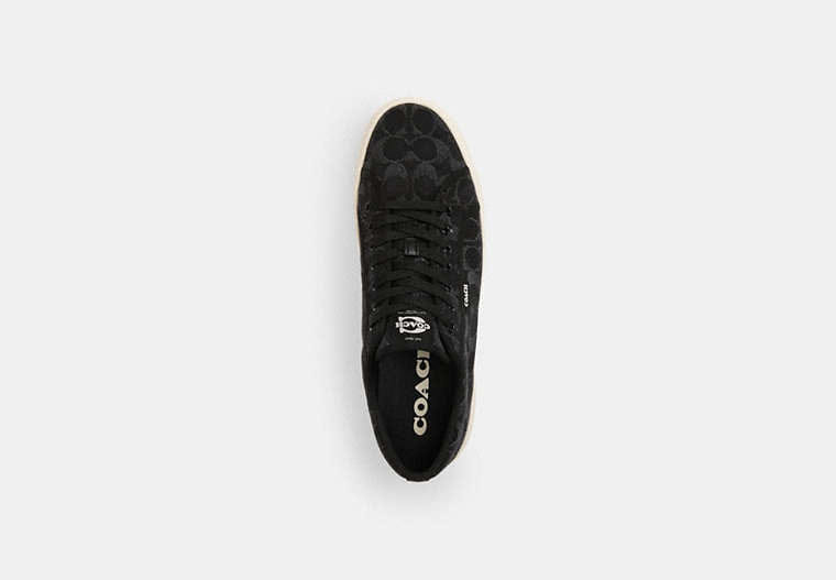 Canvas Sneaker In Signature Denim