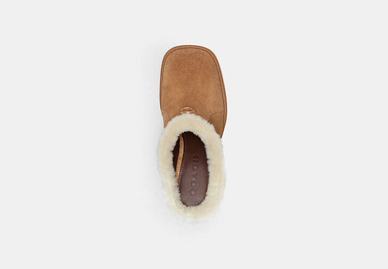 Sculpted C Heeled Mule