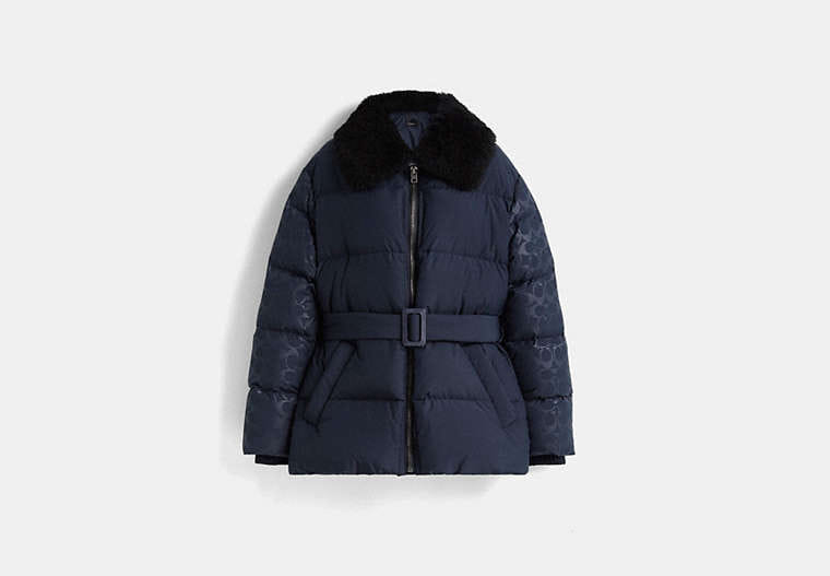 Restored Belted Puffer