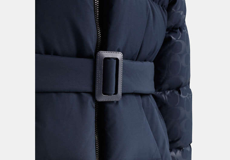Restored Belted Puffer