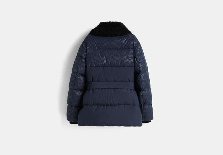 Restored Belted Puffer