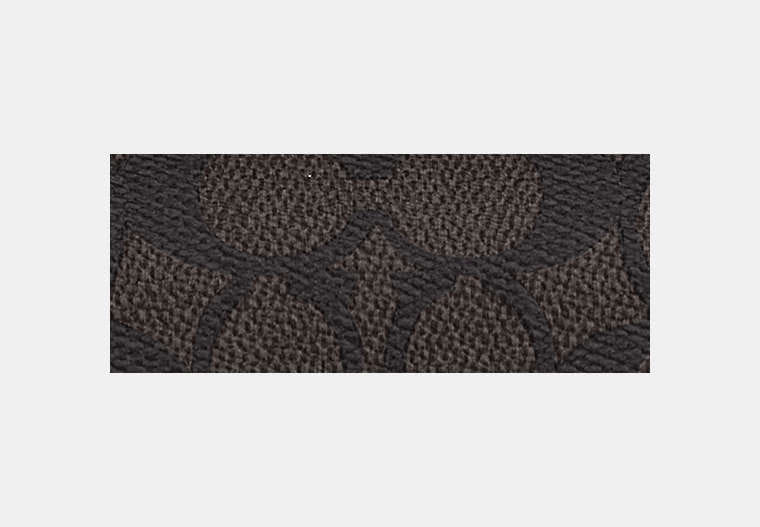 Sunglass Case In Signature Canvas