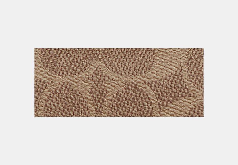 Sunglass Case In Signature Canvas