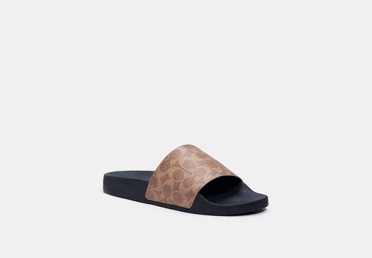 Pool Slide In Signature Canvas