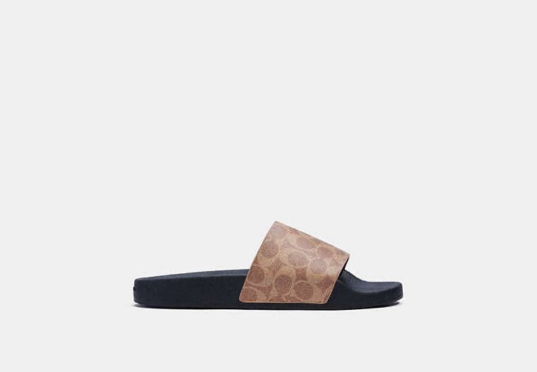 Pool Slide In Signature Canvas