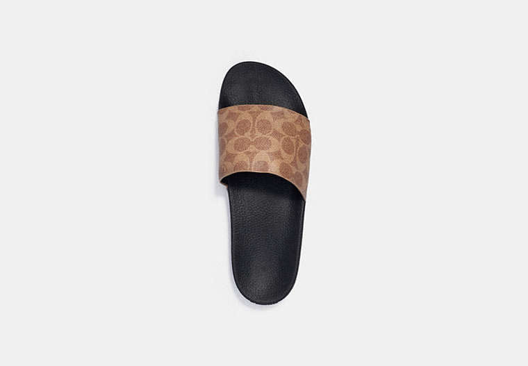 Pool Slide In Signature Canvas