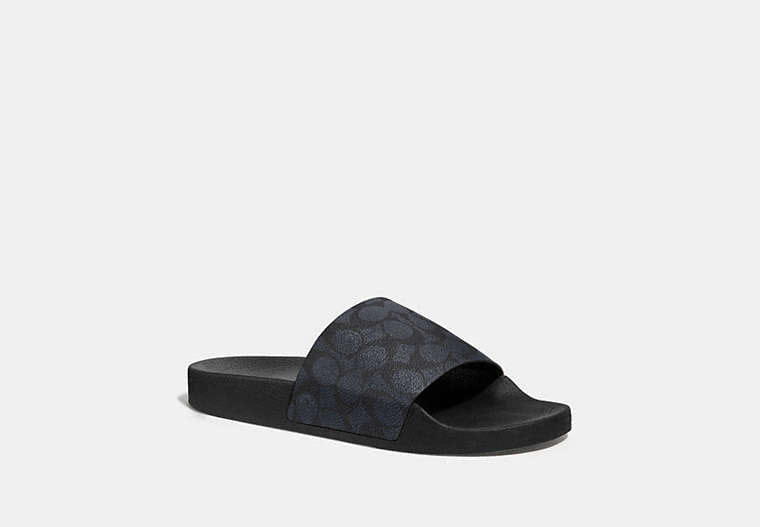 Pool Slide In Signature Canvas